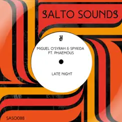 Late Night (feat. Phaemous) - Single by Miguel O'Syrah & Spykida album reviews, ratings, credits
