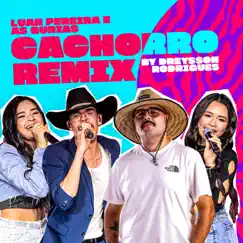 Cachorro (feat. Luan Pereira) [Remix] - Single by Dreysson Rodrigues & Jennifer e Stephany album reviews, ratings, credits