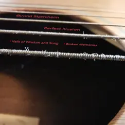 Perfect Illusion - Single by Øyvind Skjervheim album reviews, ratings, credits