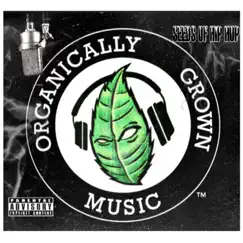 50Cal (feat. J. Brazil & King Gripp) [Shalir ThaProduct Remix Raw Organic Version] Song Lyrics