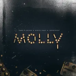 Molly - Single by Yomel El Meloso, Kiko El Crazy & Treintisiete album reviews, ratings, credits
