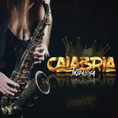 Calabria Tribalosa - Single by DJ Freshly album reviews, ratings, credits