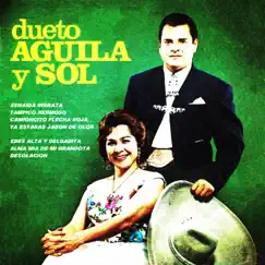 Dueto águila y sol by Dueto Aguila y Sol, Mariachi de Roman Palomar & Mariachi América de Alfredo Serna album reviews, ratings, credits