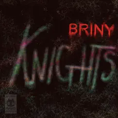 Knights - Single by Briny album reviews, ratings, credits