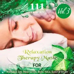 111 Tracks Vol. 3: Over Five Hours Relaxation Therapy Music for Massage, Spa, Meditation, Reiki, Yoga, Sleep and Study, Zen New Age & Healing Nature Sounds by Various Artists album reviews, ratings, credits
