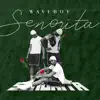 Senorita - Single album lyrics, reviews, download