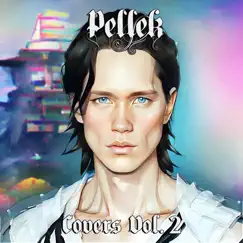 Covers, Vol. 2 by PelleK album reviews, ratings, credits