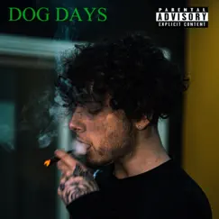 Dog Days - Single by Damil Bravo album reviews, ratings, credits