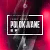 Trip to Polokwane song lyrics