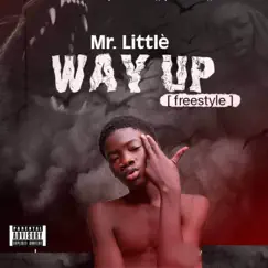 Way Up (Freestyle) - Single by Mr. Little album reviews, ratings, credits
