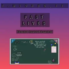 PAST_LIVES (Shauns Remake) - Single by T.Mlondo11 album reviews, ratings, credits