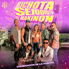 MIX KAROL G: BICHOTA / SEJODIOTO / EL MAKINON - Single by Combinación de la Habana & Yahaira Plasencia album reviews, ratings, credits