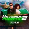 Metendo marcha 2 - Single album lyrics, reviews, download