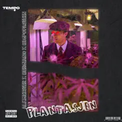 Plantasjen 2024 - Single by Alkmeister, Bergiano & BigPopaStein album reviews, ratings, credits