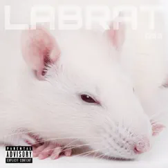 Lab Rat Song Lyrics