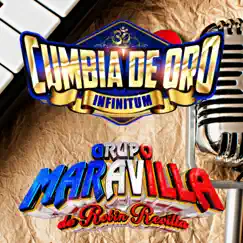 Ring Pum Pin - Single by Grupo Cumbia De Oro & Grupo Maravilla De Robin Revilla album reviews, ratings, credits