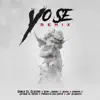 Yo Se (Remix) - Single [feat. Baby Johnny, Jehza, Anubiis, Jetson "El Super", Joy Almanyk & Producto Sin Corte] - Single album lyrics, reviews, download