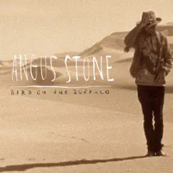 Bird On the Buffalo - Single by Angus Stone album reviews, ratings, credits