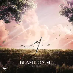 Blame On Me (feat. Sky Sol) Song Lyrics