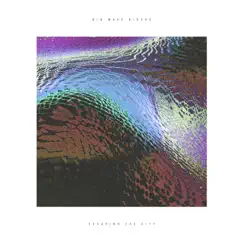 Escaping the City - Single by Big Wave Riders album reviews, ratings, credits