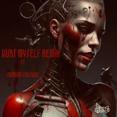 Hurt myself (feat. Namuna Sunshine) [Remix Version] - Single by Awire album reviews, ratings, credits