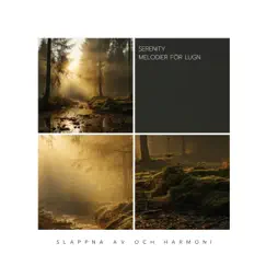 Serenity: Melodier för Lugn by Slappna av och Harmoni, Sleepy Clouds & Sleepy Sine album reviews, ratings, credits