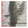 Priapism (Live) album lyrics, reviews, download