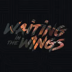 Waiting in the Wings - Single by Counterpunch album reviews, ratings, credits