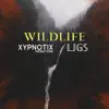 Wildlife - Single album lyrics, reviews, download