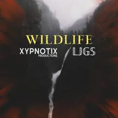 Wildlife - Single by Xypnotix & LJGS album reviews, ratings, credits