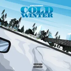 Cold Winter - Single by Kwetownny album reviews, ratings, credits