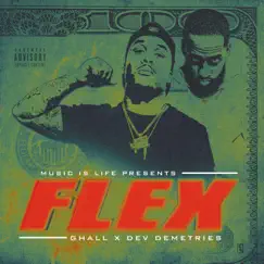 FLEX (feat. Dev Demetries) - Single by G.HALL album reviews, ratings, credits