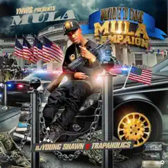 Mula Campaign by Teflon Mula album reviews, ratings, credits