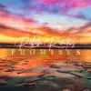 Promises (feat. Mikayla Penha & Arrow) song lyrics