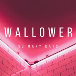 So Many Days - Single by Wallower album reviews, ratings, credits