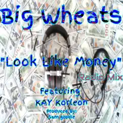 Look Like Money (feat. KAY Korleon) [Radio Edit] [Radio Edit] - Single by Big Wheats album reviews, ratings, credits