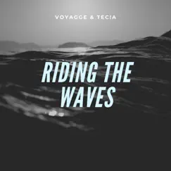 Riding the Waves - Single by Voyagge & TEC!A album reviews, ratings, credits