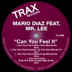 Can You Feel It (feat. Mr. Lee) [New York Mix] Song Lyrics