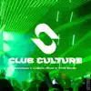 Stress: Club Culture, Vol. 2 (Mixed by Richie Blacker) [DJ Mix] album lyrics, reviews, download