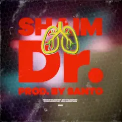 Dr. - Single by SHAIM album reviews, ratings, credits