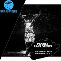 Calmness of Light Rain Song Lyrics