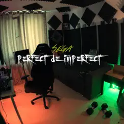 Perfect De Imperfect - Single by Sega album reviews, ratings, credits