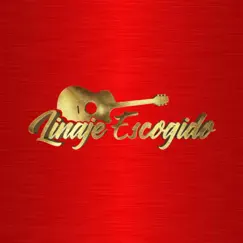 Me Duele Tanto - Single by Grupo Linaje Escogido album reviews, ratings, credits