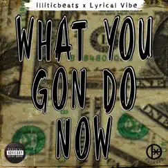 What You Gon Do Now (feat. Lyrical Vibe) - Single by Illiticbeats album reviews, ratings, credits