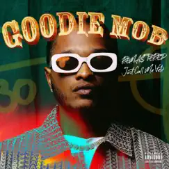 Goodie Mob (Radio Edit) Song Lyrics