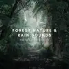 Forest Nature & Rain Sounds Background Ambience - Single album lyrics, reviews, download