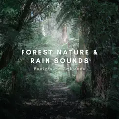 Forest Nature & Rain Sounds Background Ambience - Single by Natural Sounds Selections, Zen Sounds & Nature Sound Collection album reviews, ratings, credits