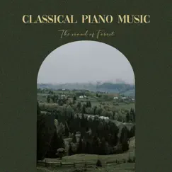 鋼琴曲代表作品 睡眠白噪音 森林的聲音 by Classical Selection Piano Noble Music & Noble Music ASMR album reviews, ratings, credits