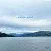 Winter Winds - Single album lyrics, reviews, download
