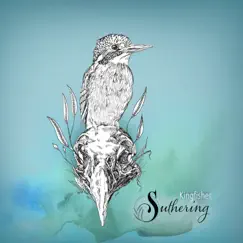 Kingfisher Song Lyrics